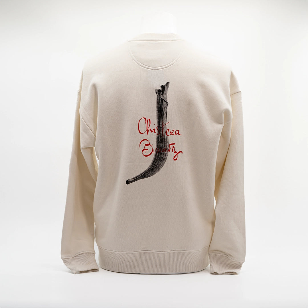 SWEAT OVERSIZE COL ROND CHISTERA
